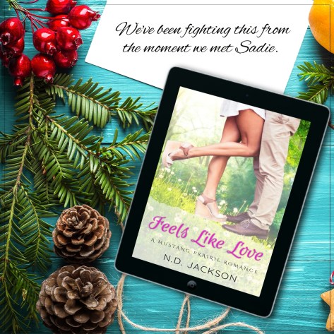 small town friends to lovers holiday romance